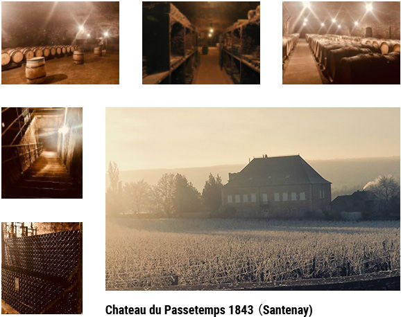 Chateau du Passe temps Santenay