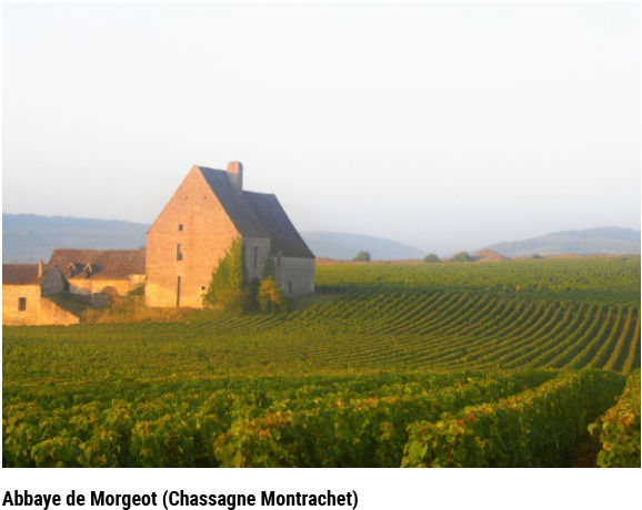 Abbaye de Morgeot Chassagne Montrachet